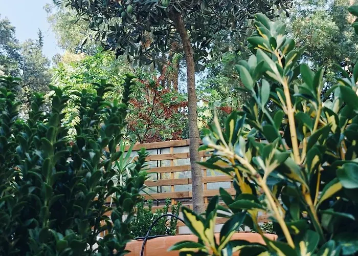 Olive Whisper Garden And Sauna * Rome